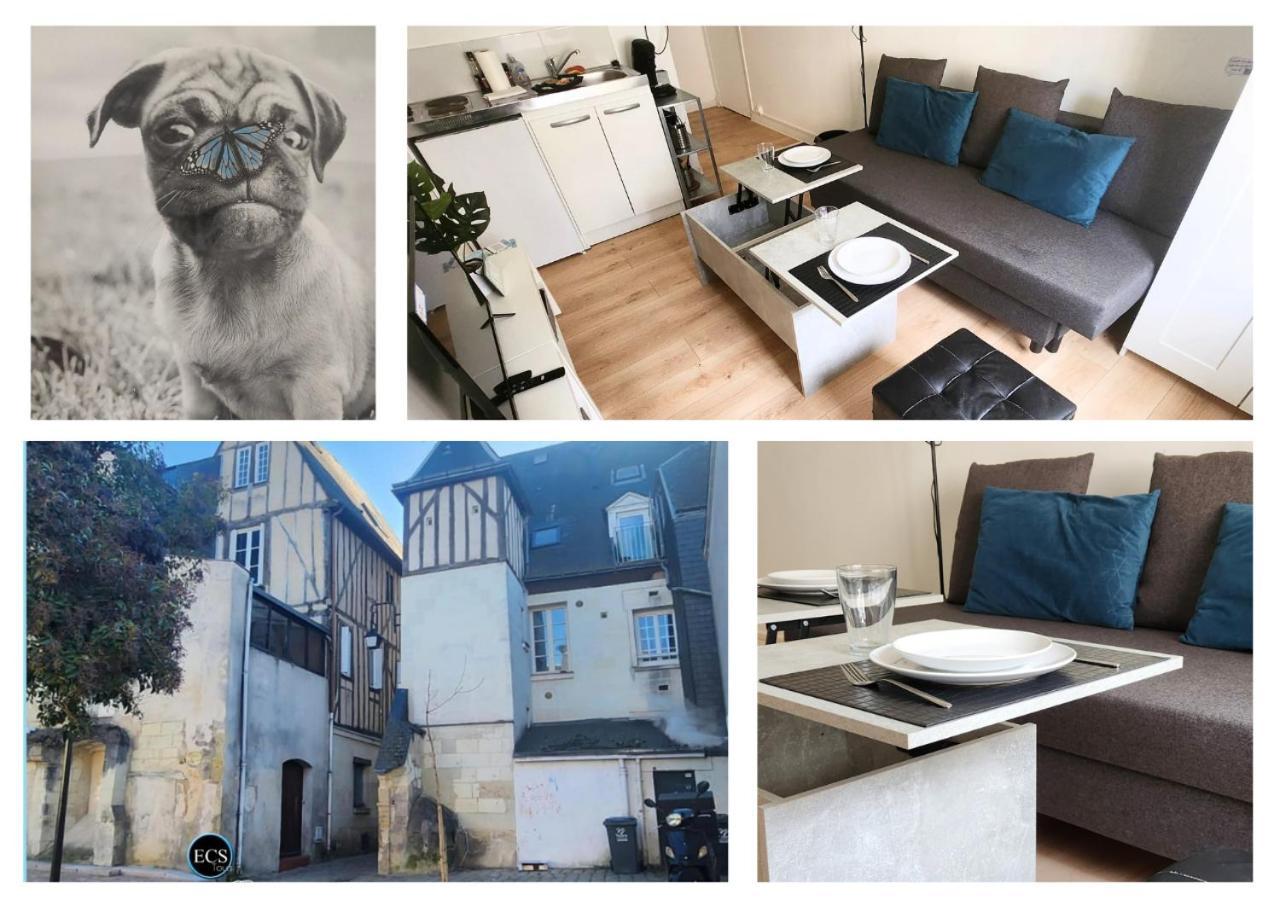 "Colbert Studio" Coeur De Ville - Cathedrale Saint Gatien تور المظهر الخارجي الصورة
